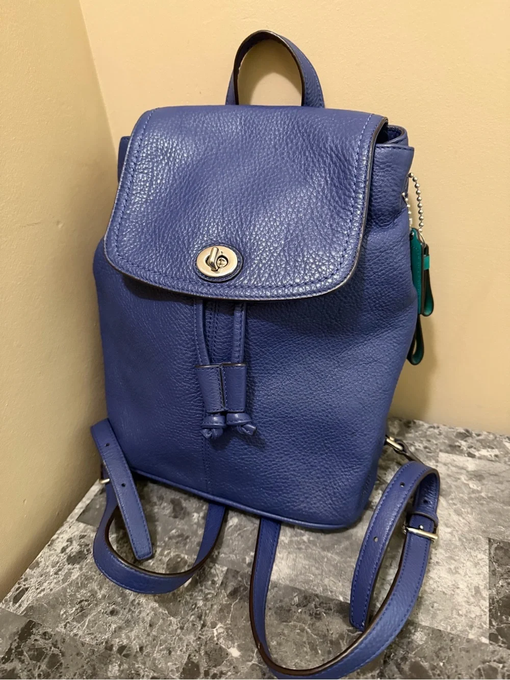 Coach Park Leather Backpack French Blue Royal Teal Lining Mini Shoulder Bag